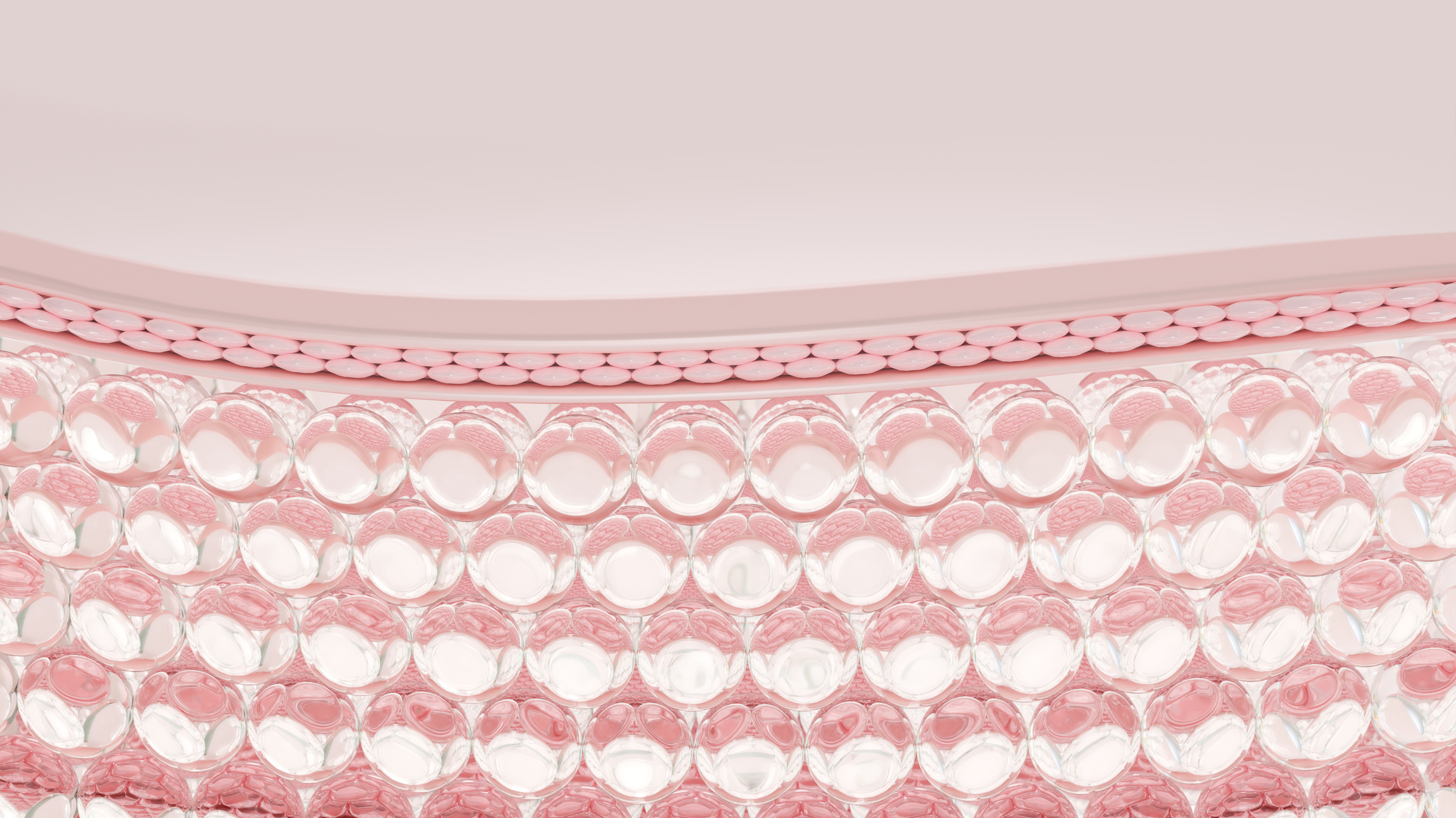 3D rendering Microstructural layers of the skin